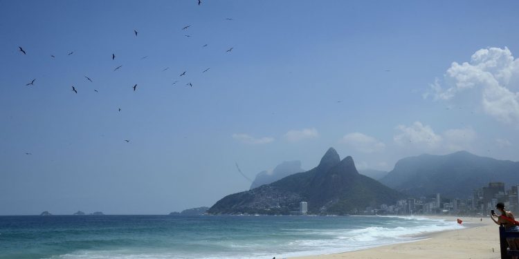 Banco de amostras de albatrozes e petréis tem expansão de 57,5% Banco de amostras de albatrozes e petréis tem expansão de 57,5%