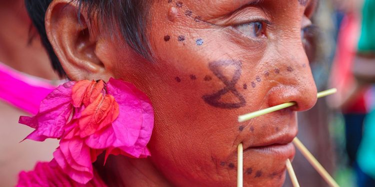 Ibama cria sala de combate ao garimpo ilegal em terra Yanomami Ibama cria sala de combate ao garimpo ilegal em terra Yanomami