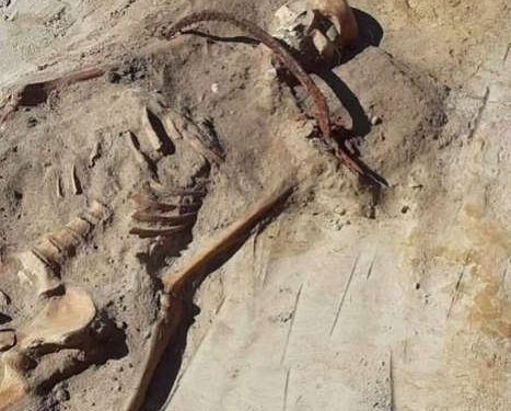 Arqueólogos encontram mulher ‘vampira’: foice no pescoço e cadeado no pé Arqueólogos encontram mulher ‘vampira’: foice no pescoço e cadeado no pé